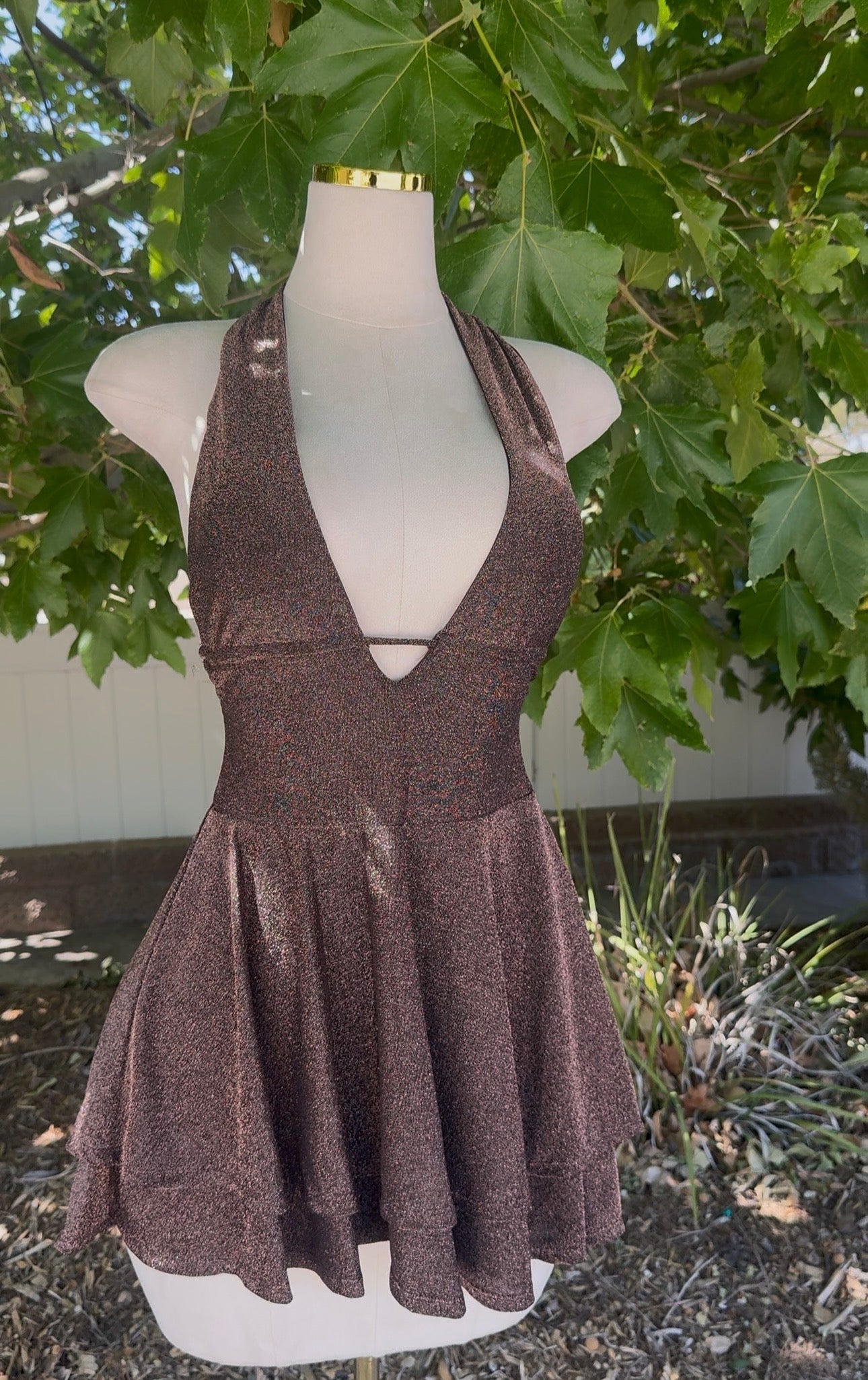 Champagne Sparkle Dress